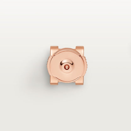 C De Earrings
