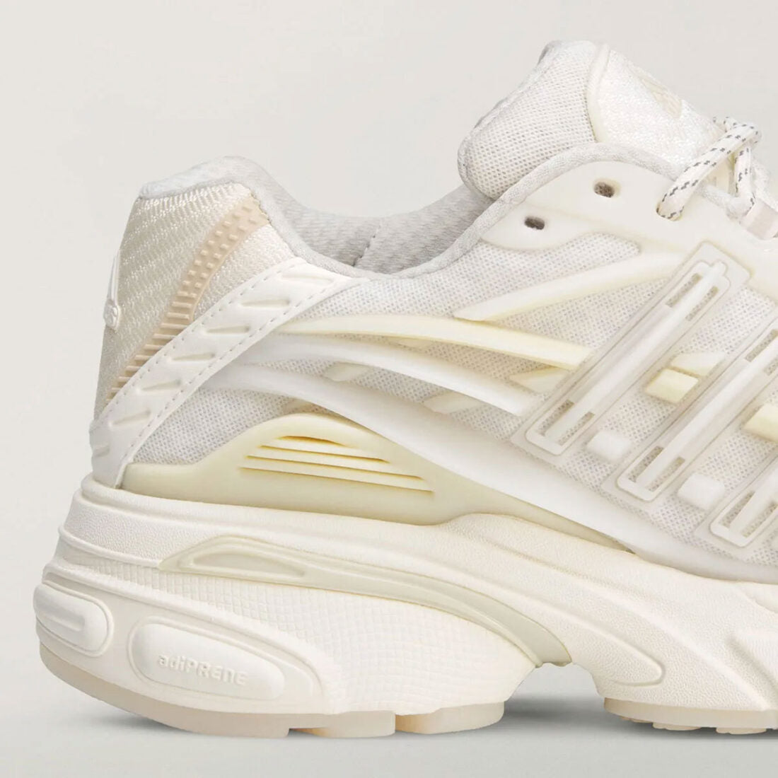 Jellyfish « Triple White »