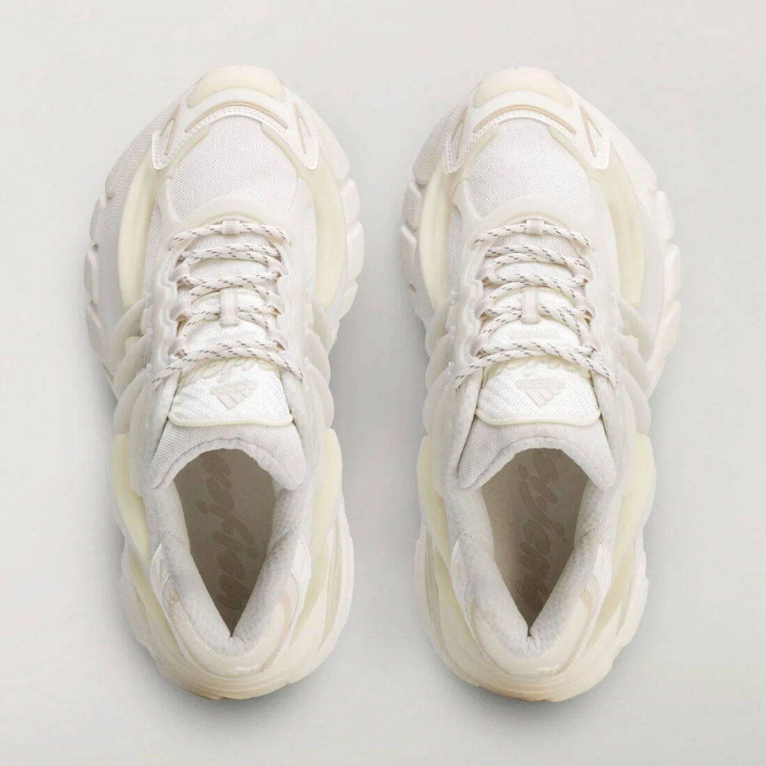 Jellyfish « Triple White »