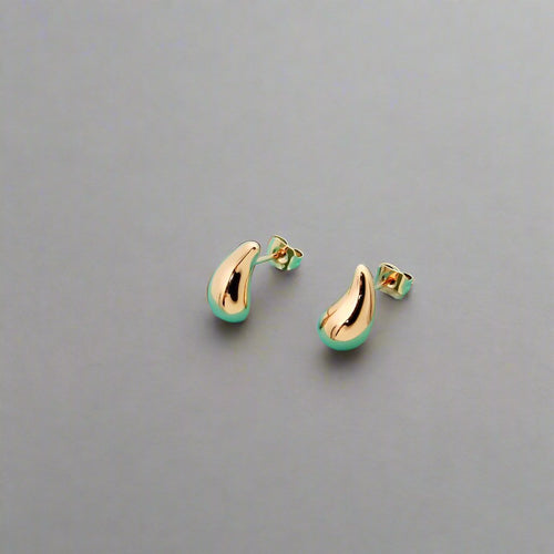 T Horn Earrings